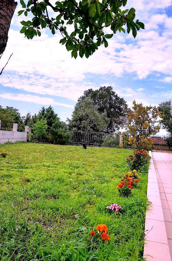 Villa Markic Drvenik  Exterior foto